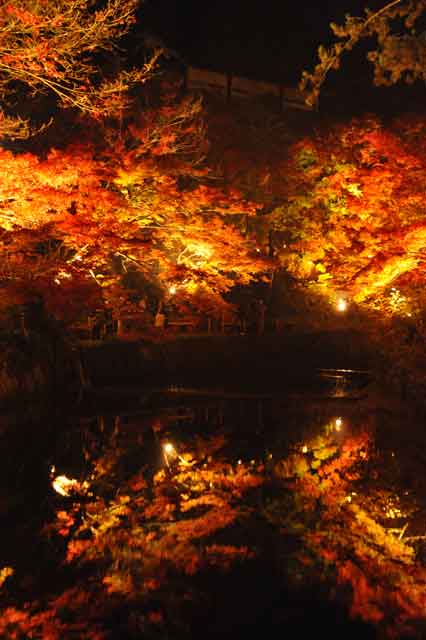 岩屋堂、紅葉が川に反射している写真99
