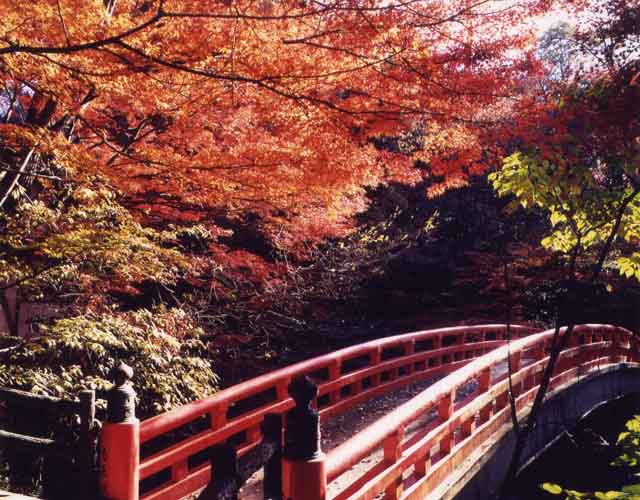 岩屋堂の赤い橋-99