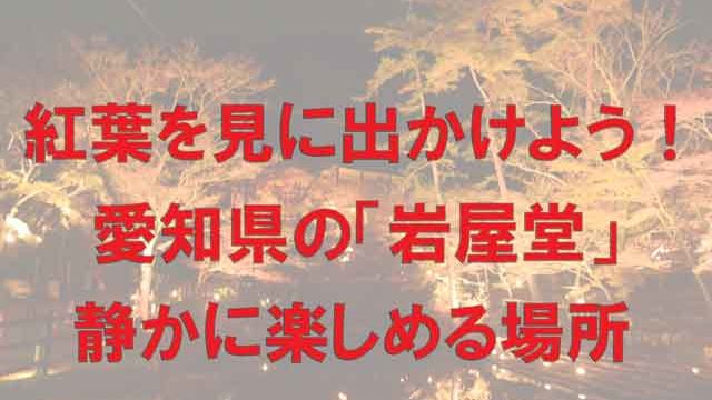 ｕｓｊ 名古屋からユニバにお得に行く方法 日帰り決定版 管理栄養士しばづけの徒然なるままに